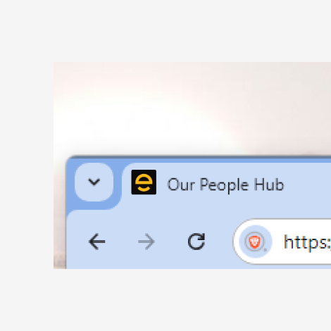 New branding customization features: Favicon and browser title