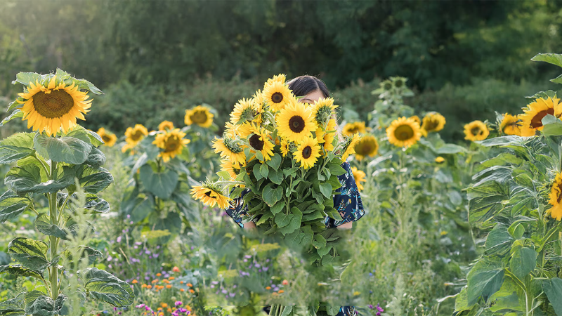 Natürlich verbunden: Weleda stärkt den Group Spirit | ahead intranet